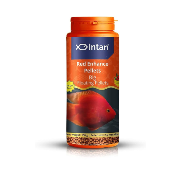 INTAN RED ENHANCE PELLETS BIG FLOATING PELLETS