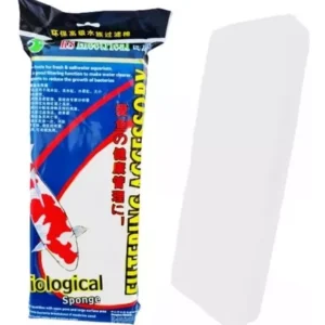 BIOLOGICAL SPONGE EACH