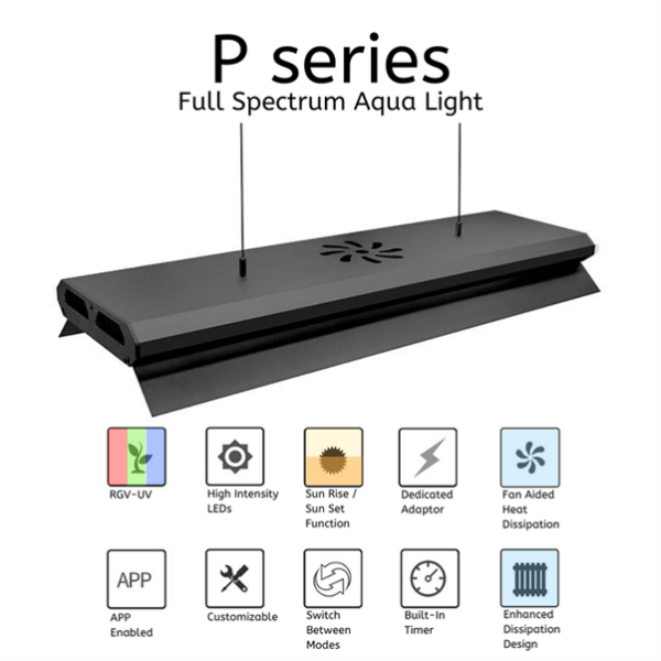 WEEK AQUA P SERIES LED LIGHT P600